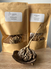 La Rose de Jericho - Chajarat Mariam