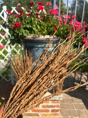 Khamaré - Racine de Vétiver