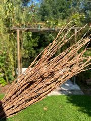 Khamaré - Racine de Vétiver