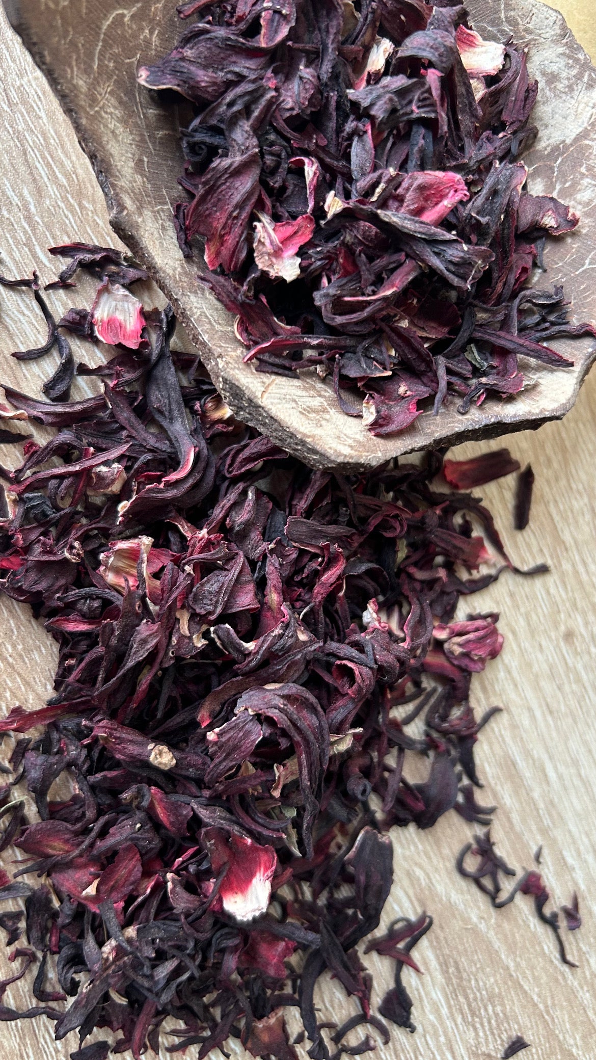 La Fleur séchée d'Hibiscus (Bissap)