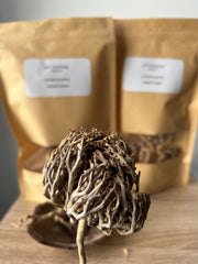 La Rose de Jericho - Chajarat Mariam